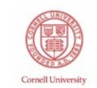 Cornell Universität